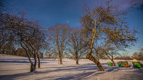 Huerta-En-Temporada-De-Invierno-Y-Cielo-Estrellado-De-Vía-Láctea,-Lapso-De-Tiempo-De-Fusión