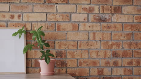 marco de madera con espacio de copia en fondo blanco con planta contra la pared de ladrillo