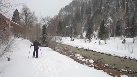 female in snowshoes walking by the river in snowy winter landscape of ouray usa, southwestern colorado