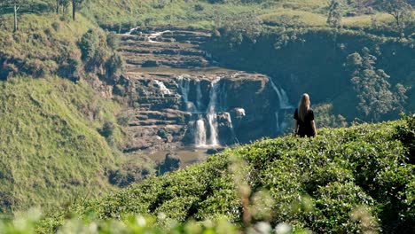 footage of a woman walking through lush tea plantations at saint clair’s falls in nuwara eliya, sri lanka.