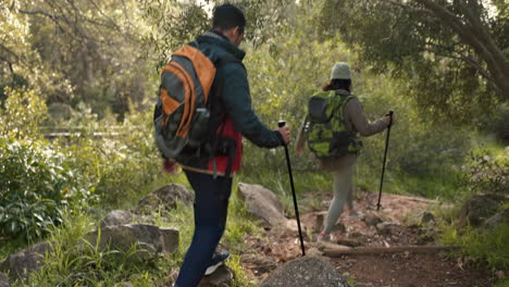 peace, hiking and back of couple in forest