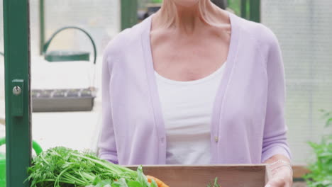 Portrait-Of-Senior-Woman-Holding-Box-Of-Home-Grown-Vegetables-In-Greenhouse