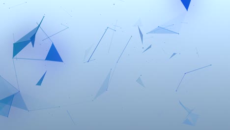 el fondo del plexo