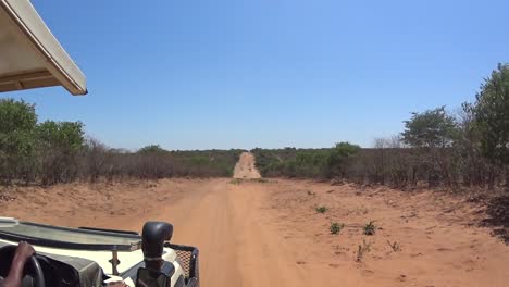 view from a safari car driving the road between national parks in botswana.
