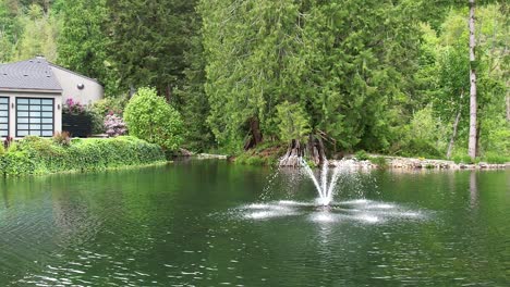 little house by the lake in the middle of the forest