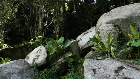 Huge-Overgrown-Round-Shaped-Granite-Rocks-surrounded-by-Lush-Greenery-and-Jungle,-Cinematic-Tropical-Landscape