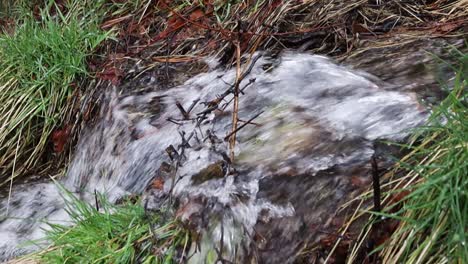 water stream running down hill with grass and twigs