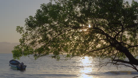 Static-shot-of-a-vibrant-sunset-at-Cebaco-Island-Veraguas-behind-a-tree