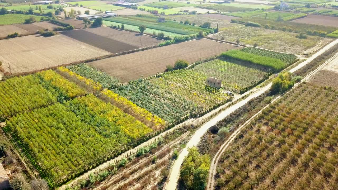 tomas aéreas con drones de los campos donde se plantan árboles frutales y plantas ornamentales