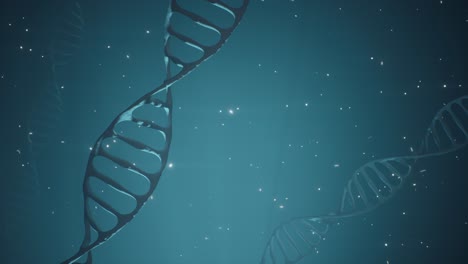animación renderizada en 3d de una molécula de adn giratoria en un fondo azul. concepto de genética