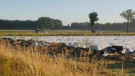 Toma-Estática-De-Un-Campo-De-Espárragos-Mientras-Los-Autos-Y-Camiones-Pasan-Por-La-Carretera-En-Un-Día-De-Verano