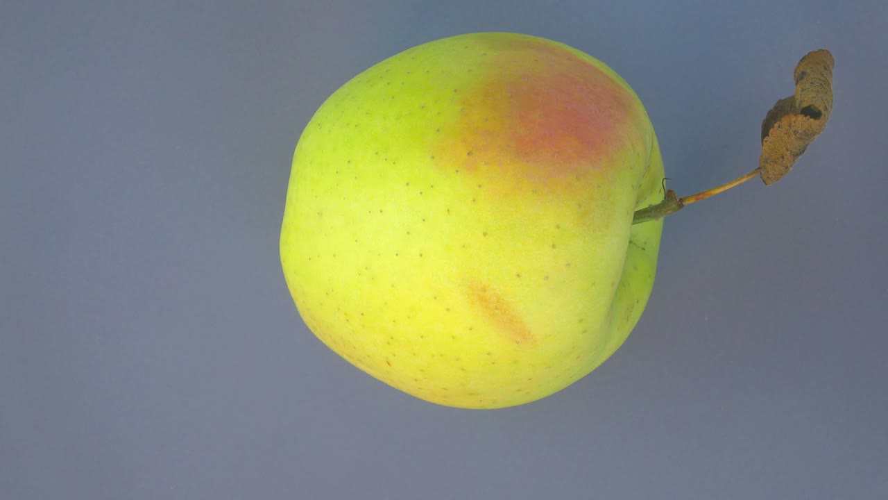 la manzana gira en círculo. video de comida.