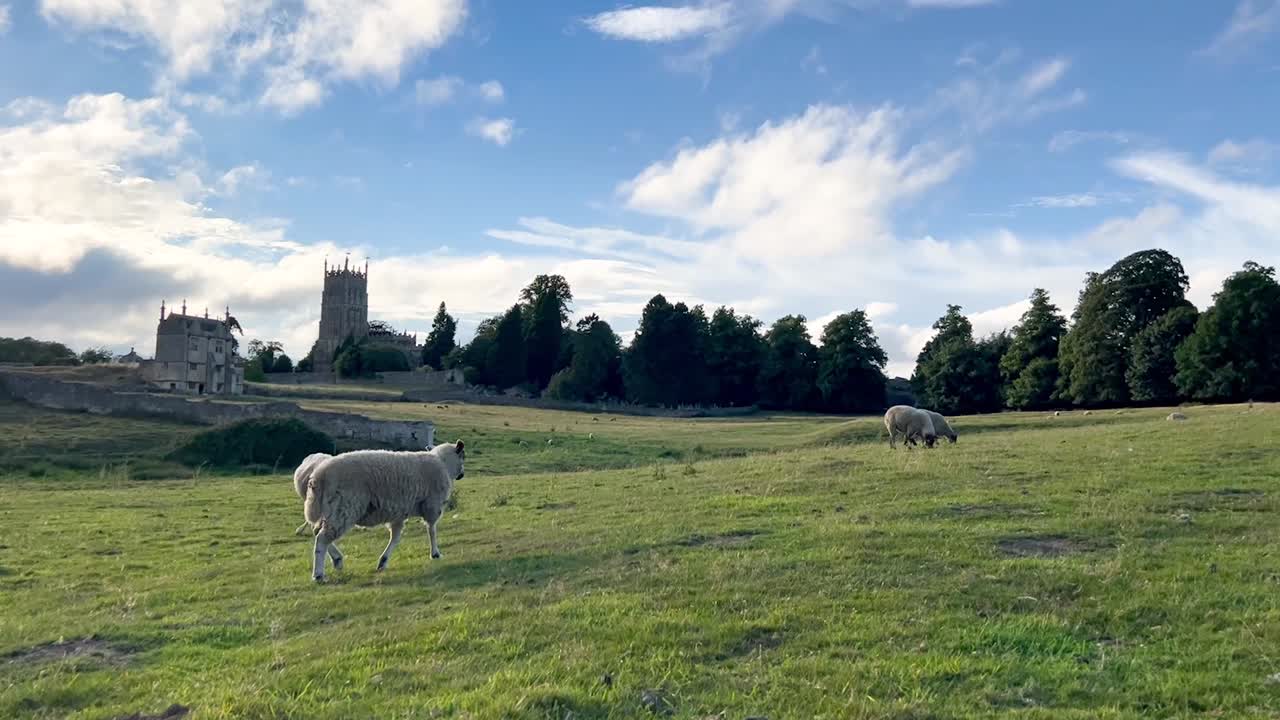 Lampaat laiduntamassa vihreillä niityillä lähellä St Jamesin kirkkoa Chipping Campdenissa, Cotswoldsissa, Gloucestershiressä, Englannissa