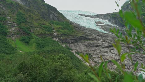 el glaciar boyabreen jostedal se ve lejos en las montañas - hojas verdes en el arbusto en primer plano mientras la cámara se mueve lentamente hacia arriba - noruega