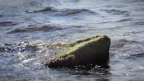 Sea-waves-splashing-on-background-stone.-Sea-foam-at-high-tide-on-stony-shore