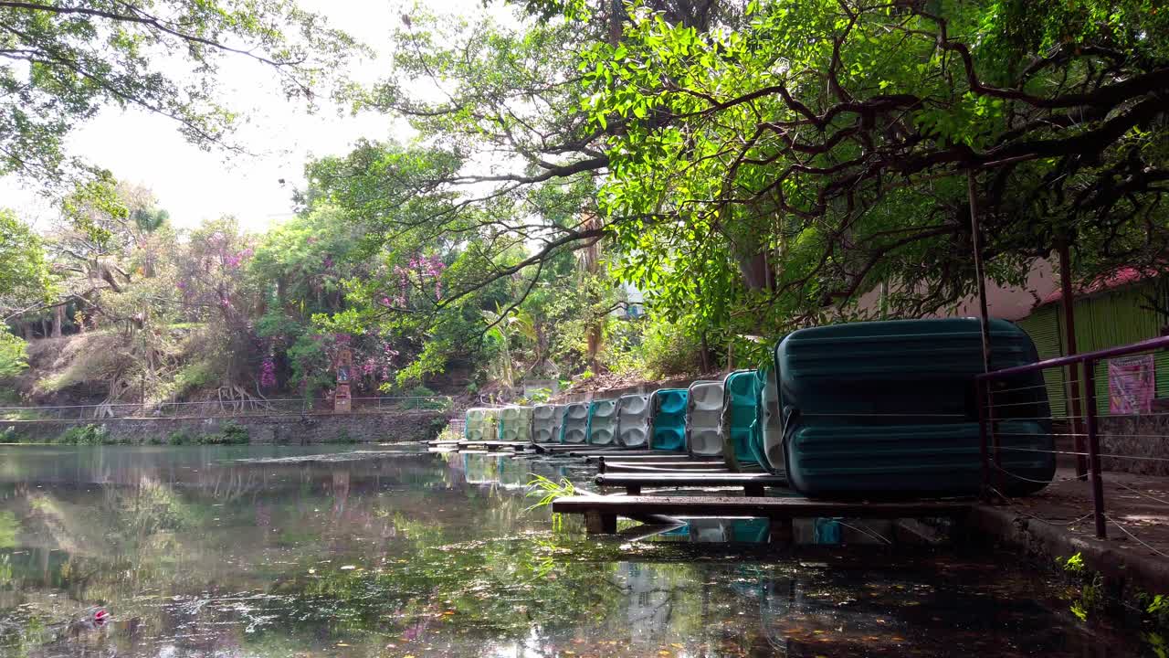 Pedal boats stacked on dock surrounded by trees at Chapultepec Park, midday light
