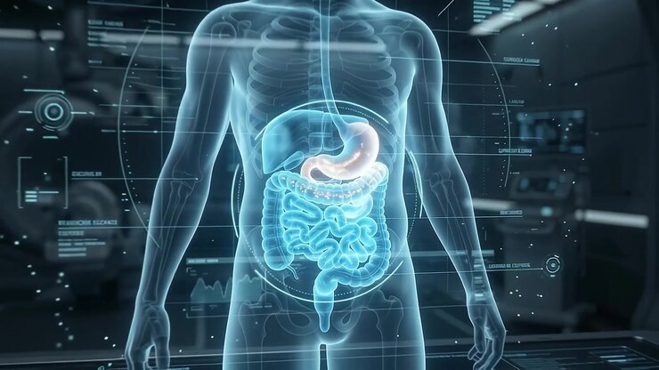 Holographic Medical Scan of Human Digestive System