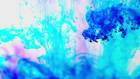 purple and blue paint or dye dropped into water against white background to create swirling colourful smoke background 5