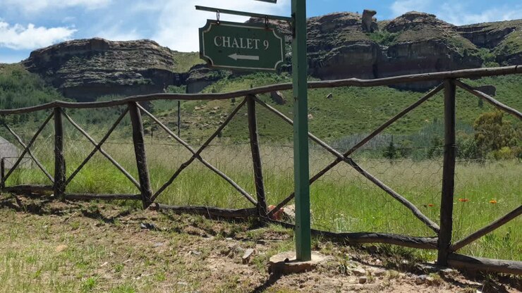 Vecchia strada sterrata che conduce agli chalet e alle case per gli ospiti della fattoria vacanze Camelroc, oltre vecchi alberi e una recinzione agricola, Sudafrica.