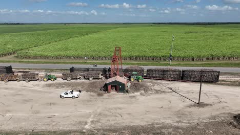 Containers-loaded-with-sugarcane-harvest,-Higueral,-La-Romana-in-Dominican-Republic