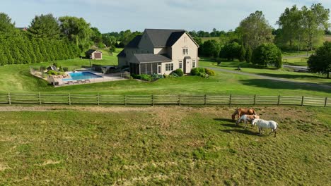 Picturesque-Amish-homestead-with-majestic-horses-grazing-peacefully