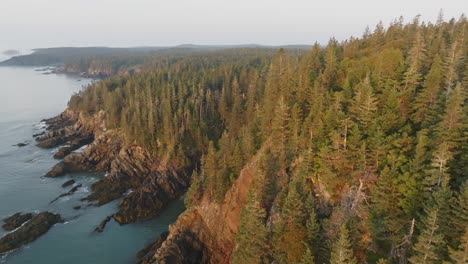 gorgeous pan from sun-kissed rocks to forested landscape on maine's bold coast