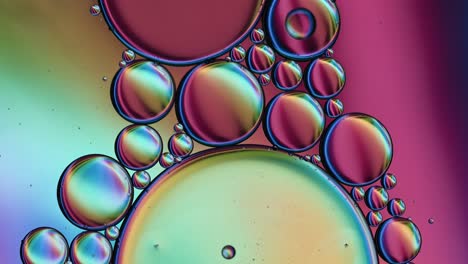 abstract colorful food oil drops bubbles and spheres flowing