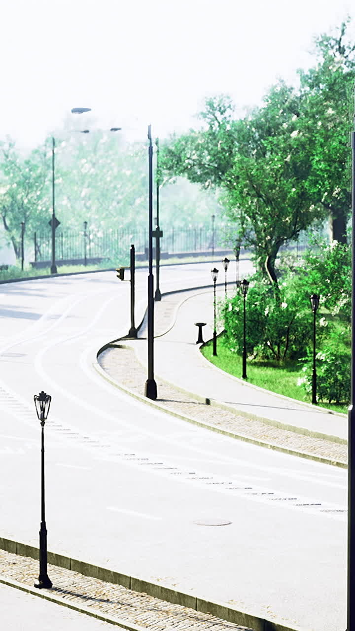 Winding road lined with trees in a serene park on a sunny day