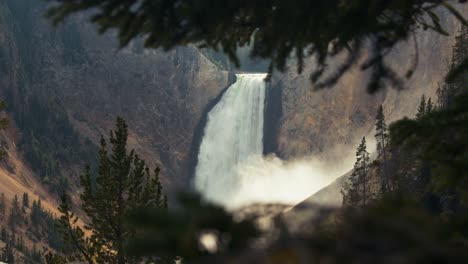 handheld shot of a gorgeous massive waterfall in north america framed by dark pine tree leaves