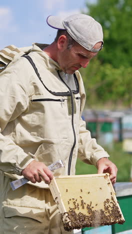 light empty frame half-covered with bees in the hands of a male apiarist. beekeeper shakes off the bees and puts a frame beside the hive. apiary and nature at backdrop in blur. vertical video