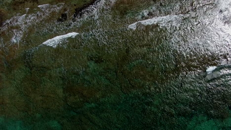 aerial cenital shot of the coast of the island of wolves where the sea hits