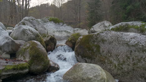 autumn river in mountain forest trees