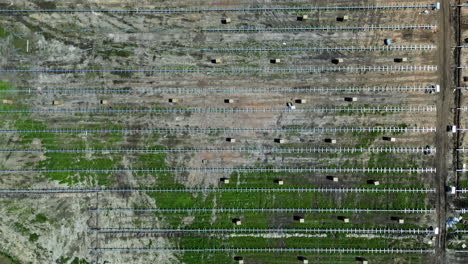 vista abstracta de arriba hacia abajo del dron sobre la granja solar con filas de paneles que se están instalando