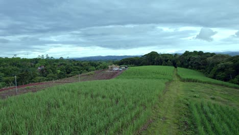 construcción de casa en el campo