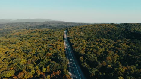 Drone-Volando-Sobre-La-Carretera-Por-árboles-En-La-Isla-Croata-Krk-En-Verano