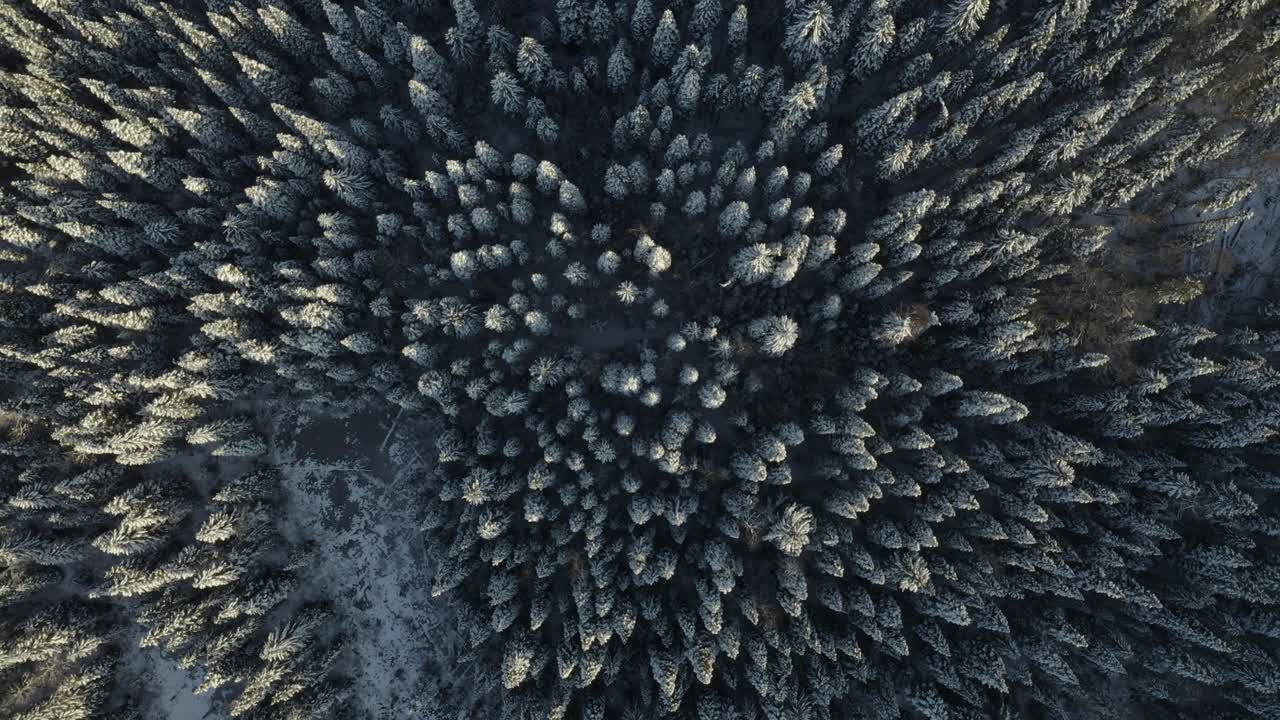 Et filmisk, bevægende luftfoto af den vinterklædte vildmark i det nordlige Canada under den gyldne time om aftenen.