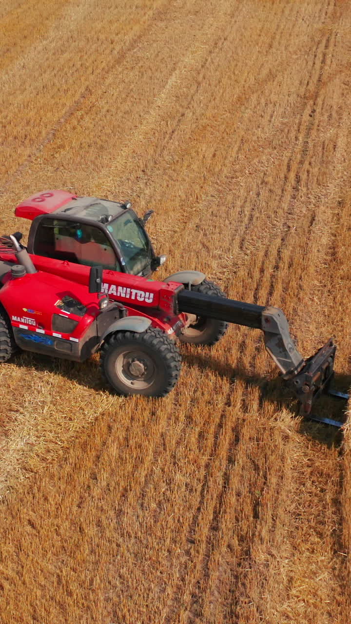 Little agile powerful loader machine picks up hay bale and puts it on another one. Agricultural machinery working in the field after harvesting wheat. Vertical video