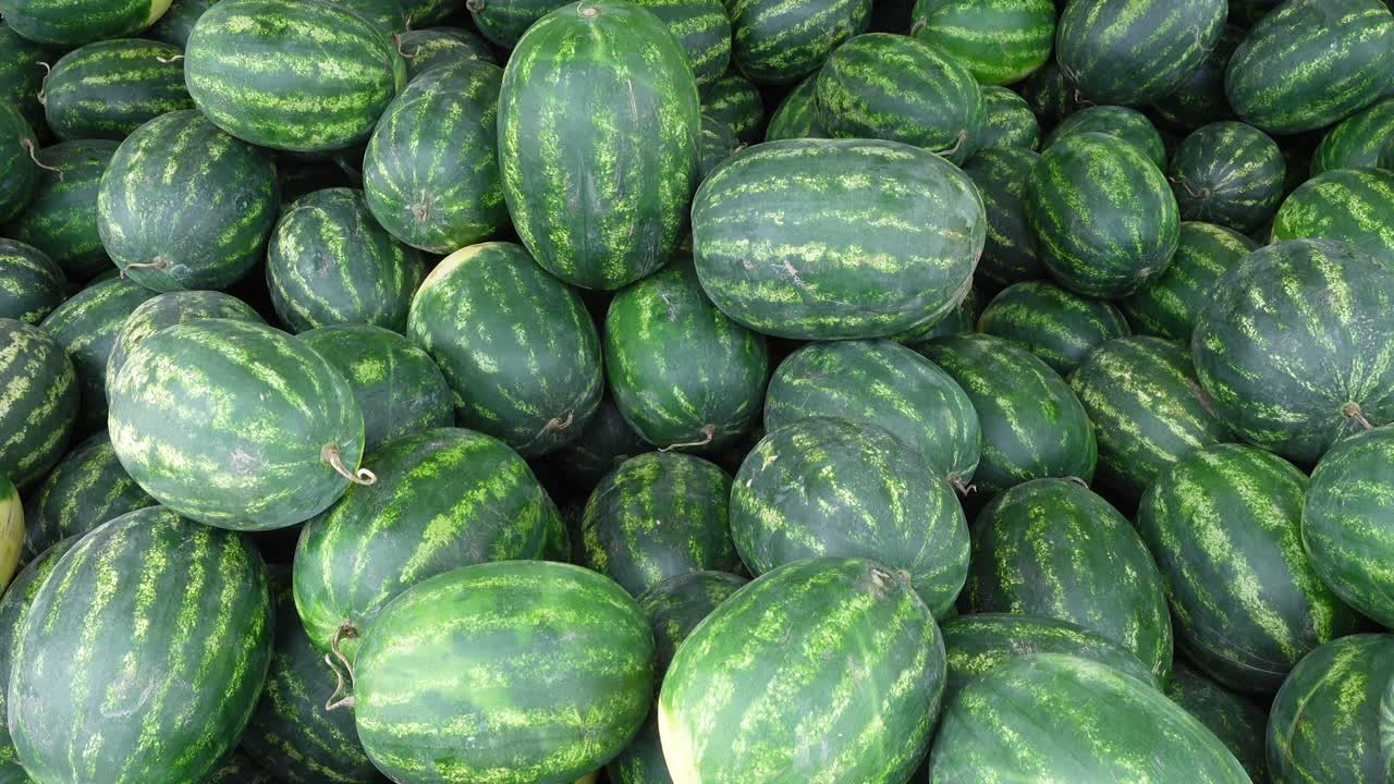 익은 수박 한 어리