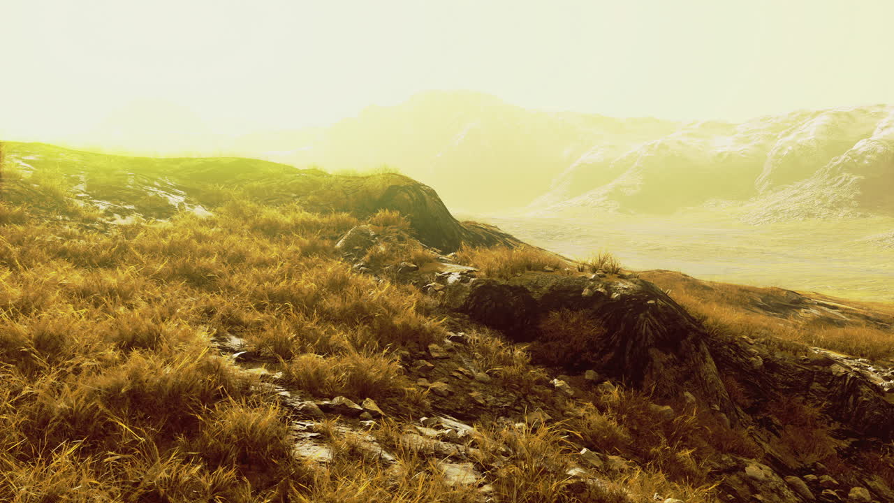 Lush grassland under golden sunlight on a serene mountain landscape