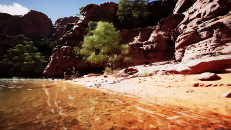 a scenic river running through a desert canyon