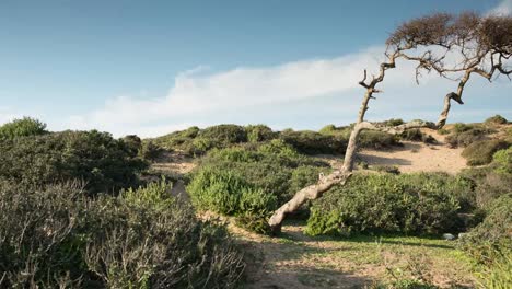 able beach 00