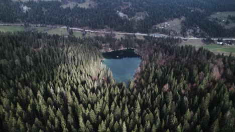 Aerial-reveal-of-a-lake-in-between-pine-forests-on-a-cloudy-day-in-Switzerland