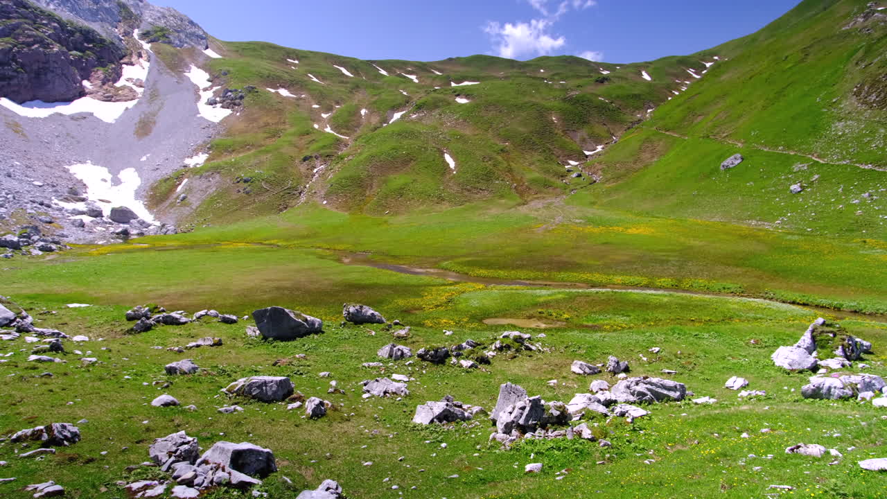 Un paesaggio ricco di fiori di campo gialli e montagne