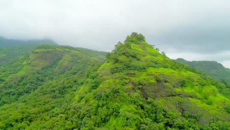 beautiful greenery hills drone view