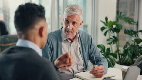 business consultation