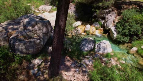 aerial view over high mountain stream and river inside the forest