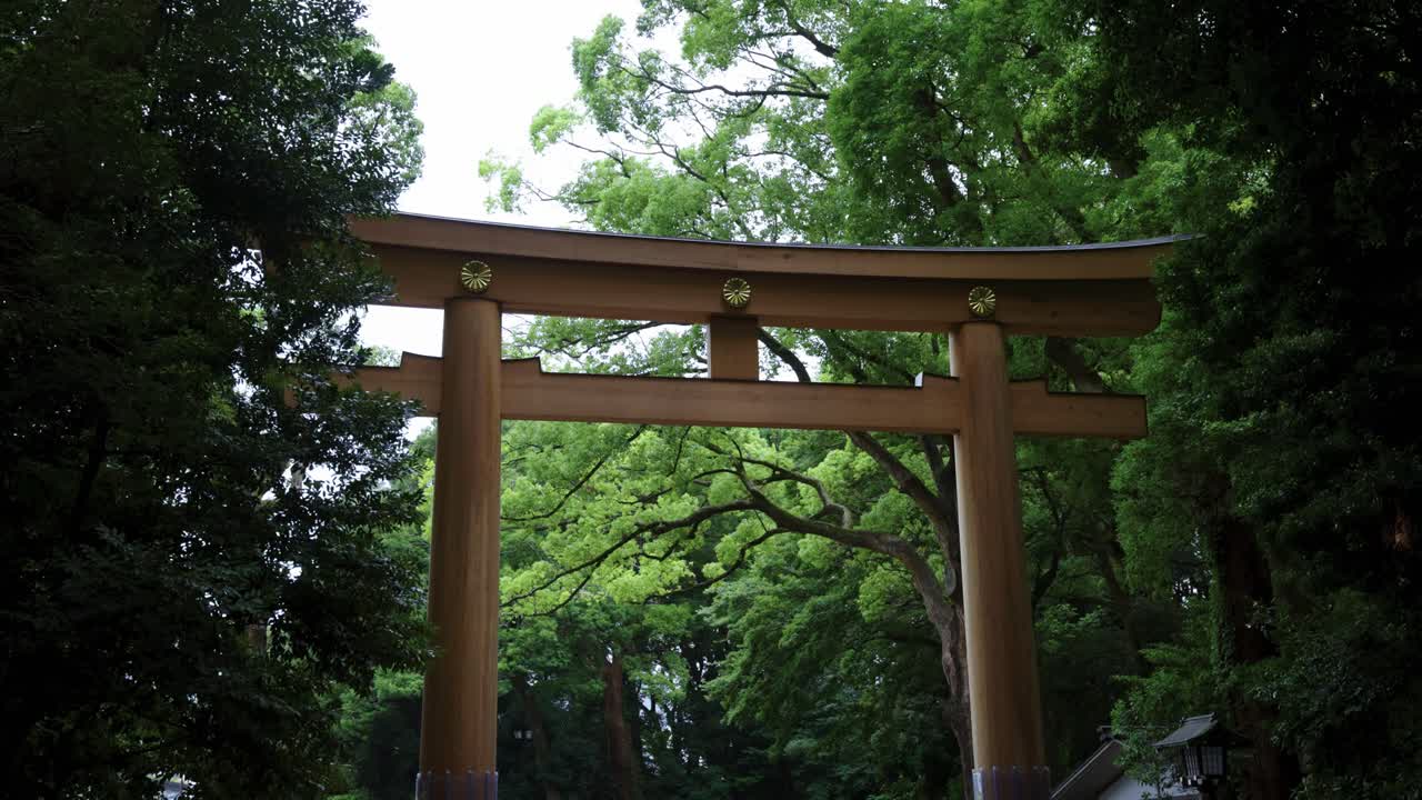 Meiji Jingu Shrine Torii Gate, Cloudy Day in Harajuku Japan