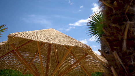 palms standing around woven parasol with blue sky above and amazing sunny weather