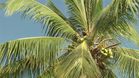 Stock-Footage-Tropische-Insel