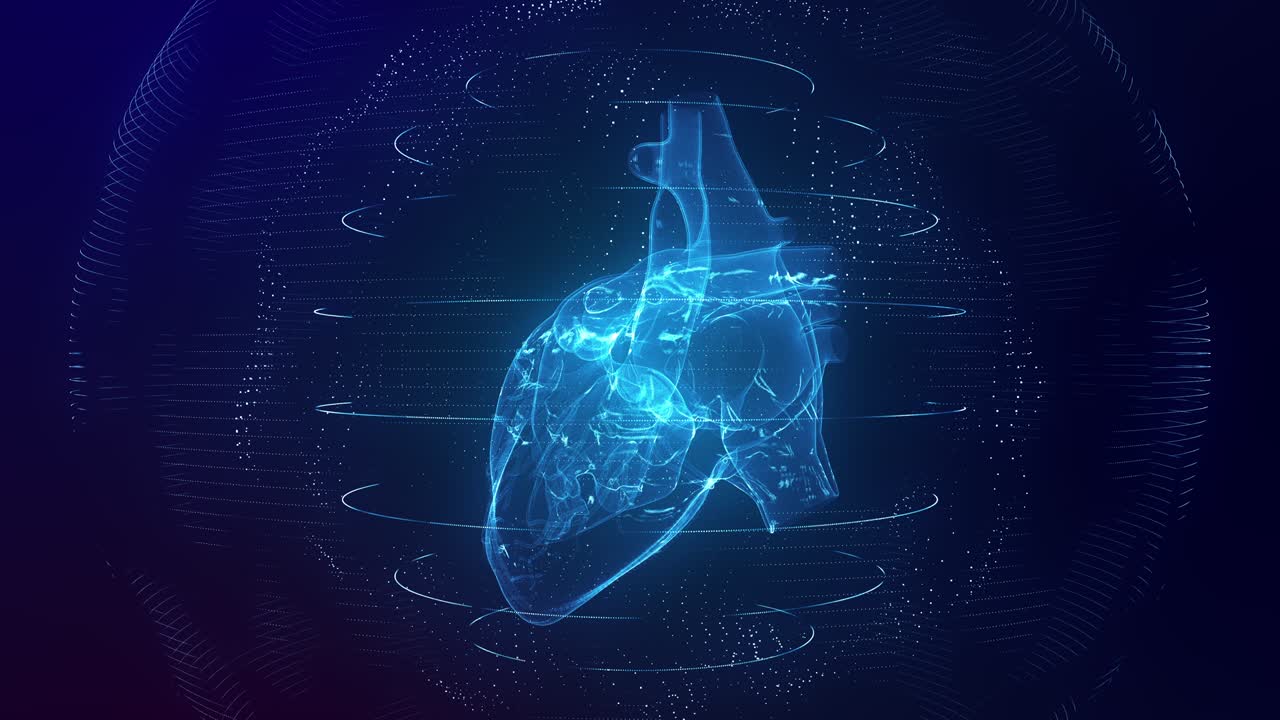 cuore umano digitale blu anatomicamente corretto ciclo senza soluzione di continuità con scansione cardiaca